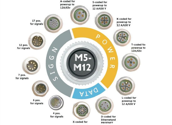 M12-serie Circulaire draad connector Socket 12 pin Achterste schroefpaneel Montage