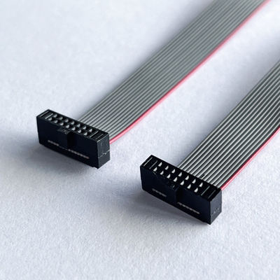 1.27mm Flat IDC Cable 10 Pin - 100 Pin Ribbon Cable Assembly Aanpasbare lengte